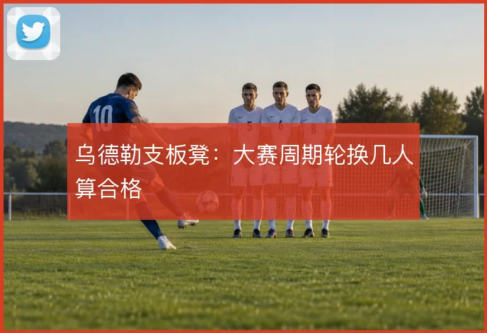 乌德勒支板凳：大赛周期轮换几人算合格