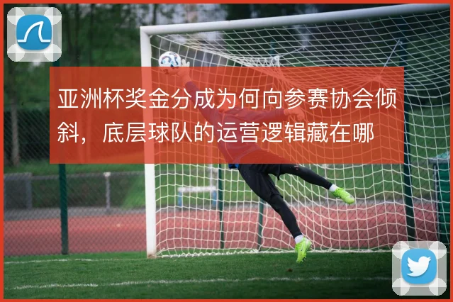 亚洲杯奖金分成为何向参赛协会倾斜，底层球队的运营逻辑藏在哪