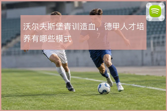 沃尔夫斯堡青训造血，德甲人才培养有哪些模式