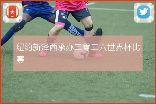 纽约新泽西承办二零二六世界杯比赛